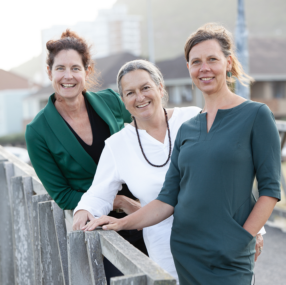 NGO fundraising consultant South Africa