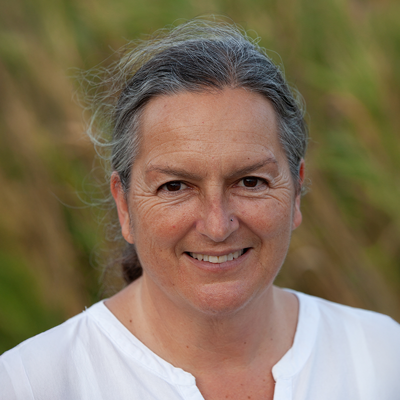 NGO fundraising consultant South Africa